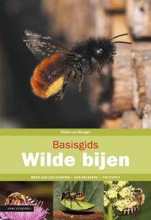 Basisgids Wilde bijen van Pieter van Breugel kopen bij Imkerij De Linde