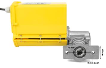 Motor voor honingslinger 230 V kopen bij Imkerij De Linde