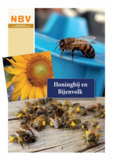 Basiscursus Imkeren Theorie en Praktijk + aanvulling